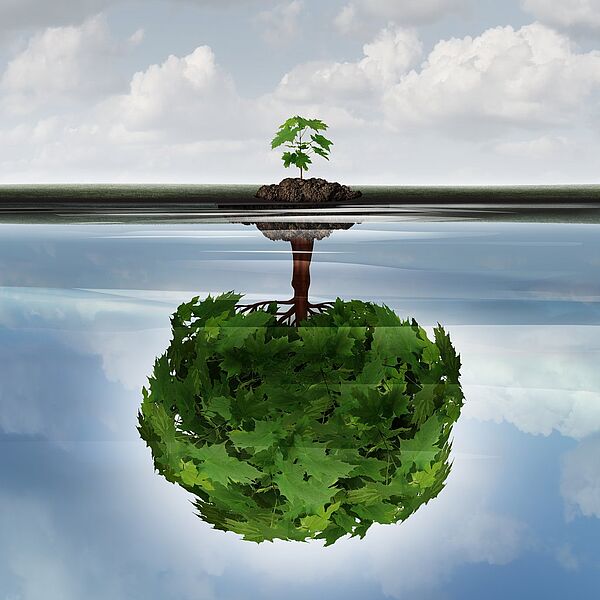 Ein Baum, der an einem Gewässerraum wächst und dessen Spiegelbild auf dem Gewässer deutlich größer ist als der Baum selbst.